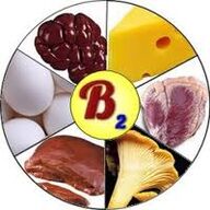 Vitaminas B2 B2 para o cerebro